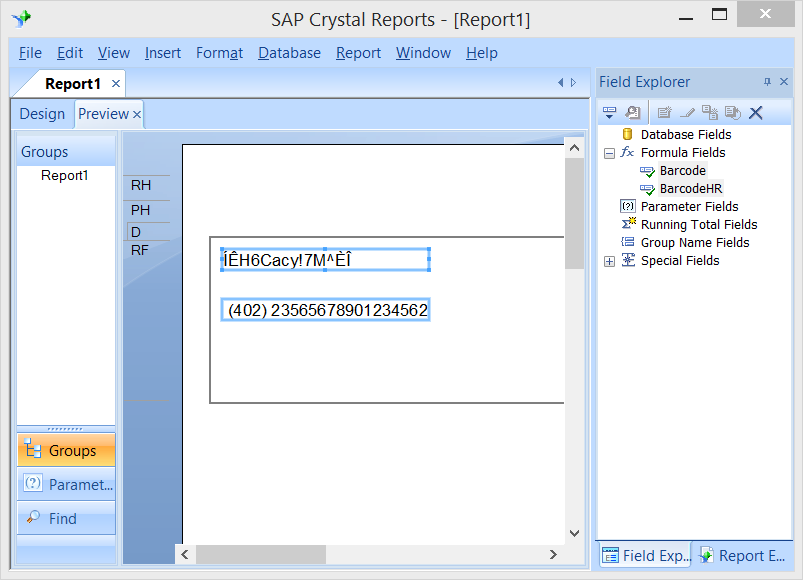 crystal report 10 developer